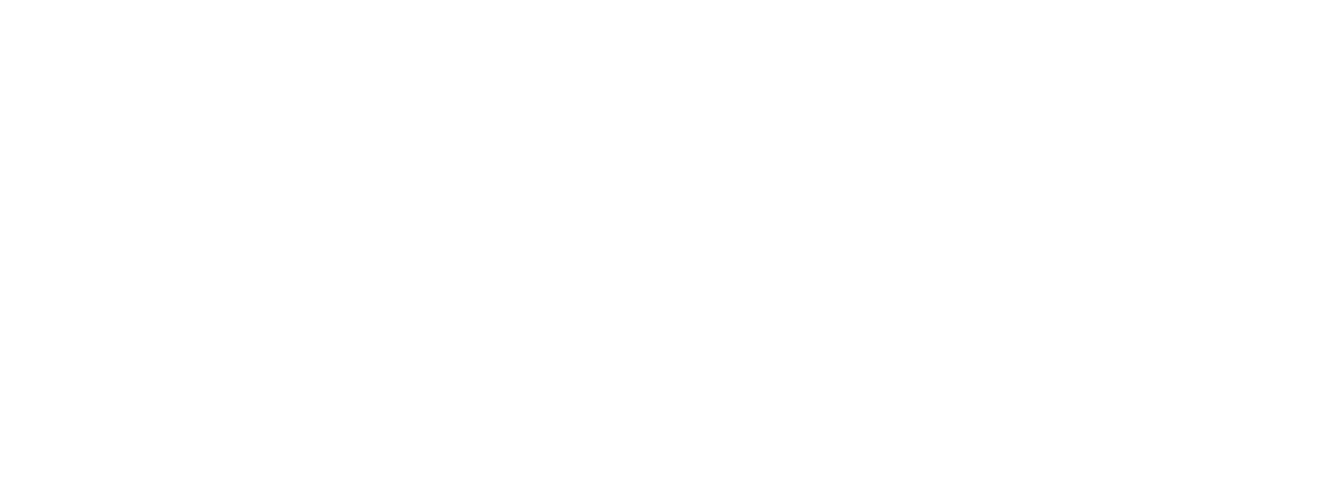 BIBO